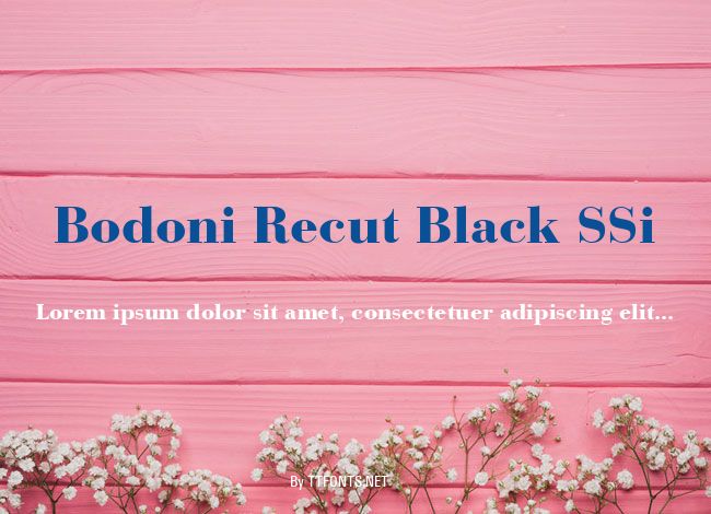 Bodoni Recut Black SSi example